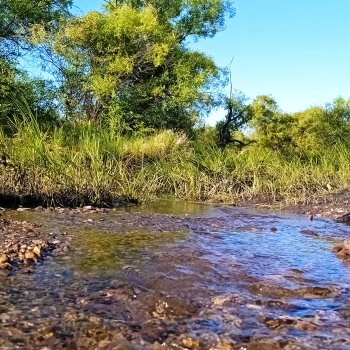 В пригороде Благовещенска