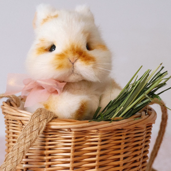 Не куклами едиными...