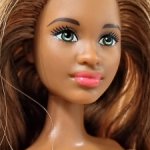 2014/2015 Barbie Fashionistas Grace h26hf cln68