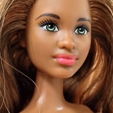 2014/2015 Barbie Fashionistas Grace h26hf cln68