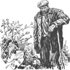 Эвон, чего нонче в школах-то изучают!