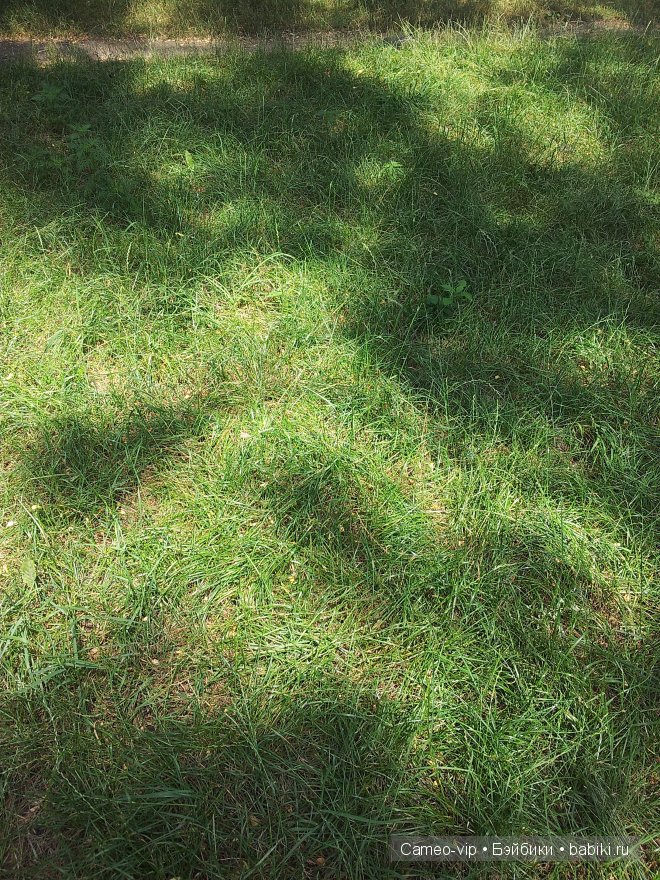 Паулина и немного лирики — Куклы Paola Reina (Паола Рейна): новинки (фото 4)