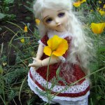 Лето и Виолетта! LittleFee Lishe Fairyland