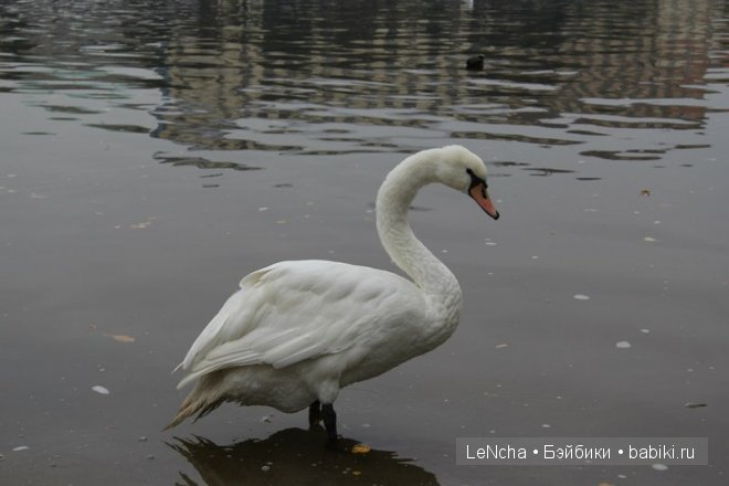 Чехия. Прага. Арт-Галерея кукол