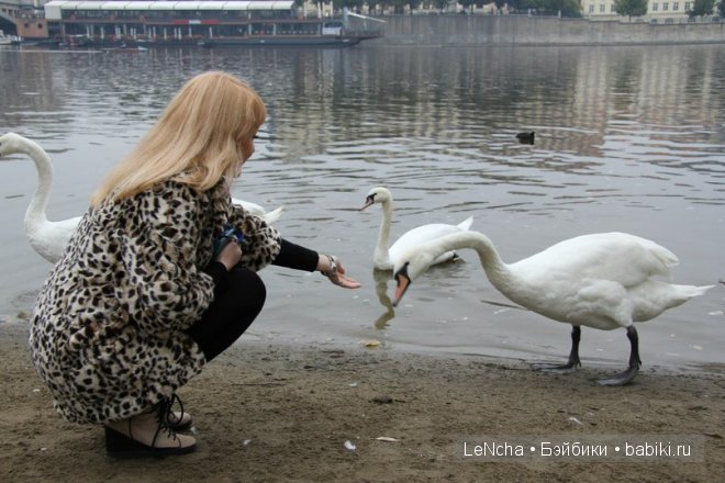Чехия. Прага. Арт-Галерея кукол