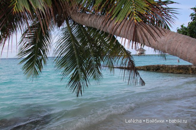 ...Зойкины Мальдивы... (PukiFee Zoe Fayriland)