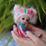 ...Зойкины Мальдивы...  (PukiFee Zoe Fayriland)