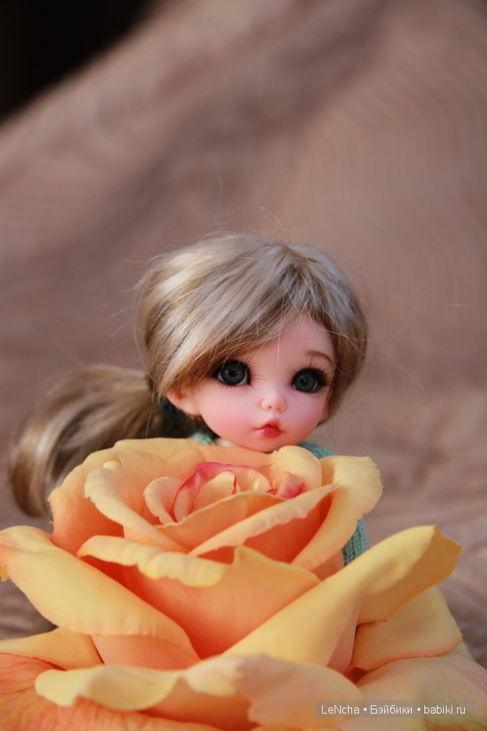 Мои малышки - пукифи. Анте. (PukiFee Ante Fayriland)