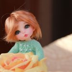 Мои малышки - пукифи. Анте. (PukiFee Ante Fayriland)