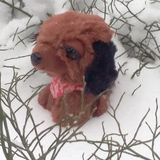 Неожиданная любовь по имени Нюша