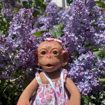 Как обезьянка Маня на площадке гуляла