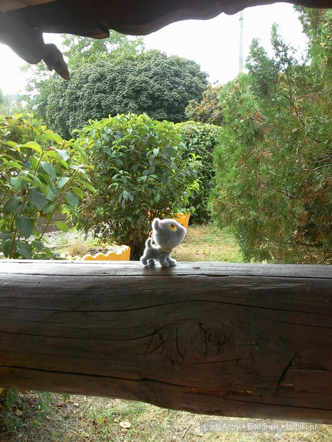 Котята в коробке — Интересные игрушки и фигурки (разное): редкие