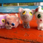 Котята в коробке