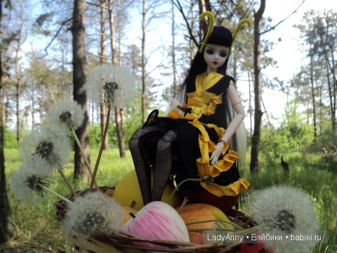 Весёлая оса. J-dolls, Obitsu (фото 10)