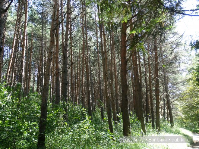 Кисловодск