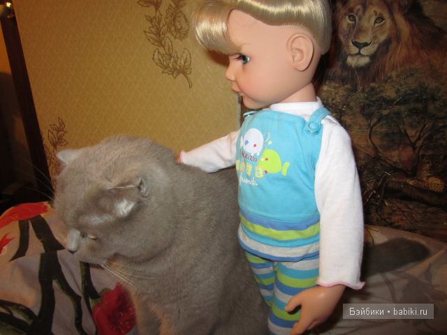 пушистые друзья