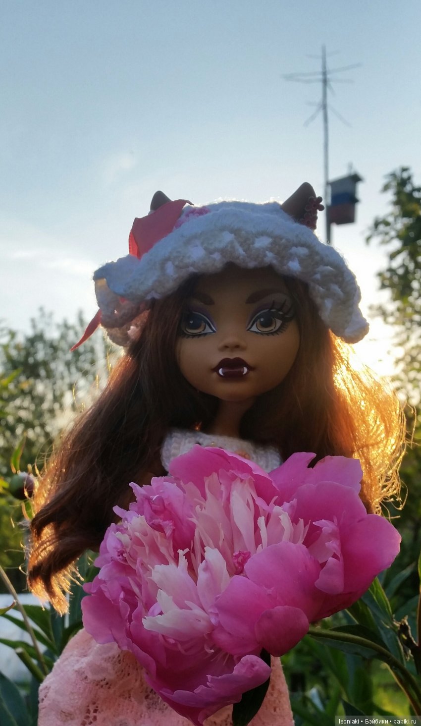 Monster high  Клодин 17