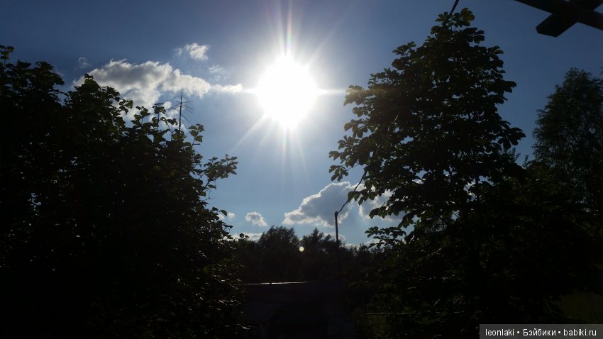 Monster high  Клодин 17