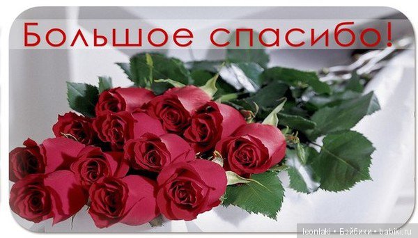 Спасибо