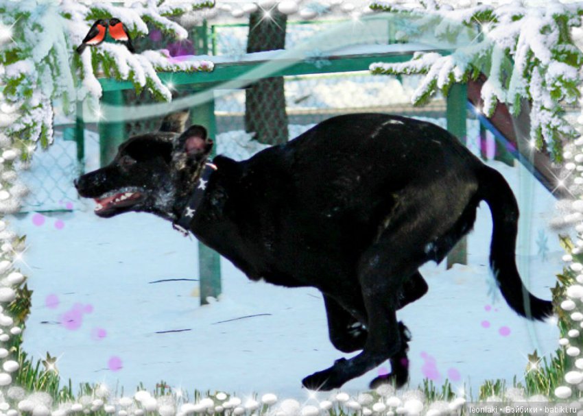 С настурающим 2018