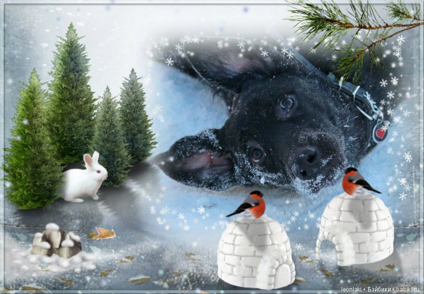 С настурающим 2018