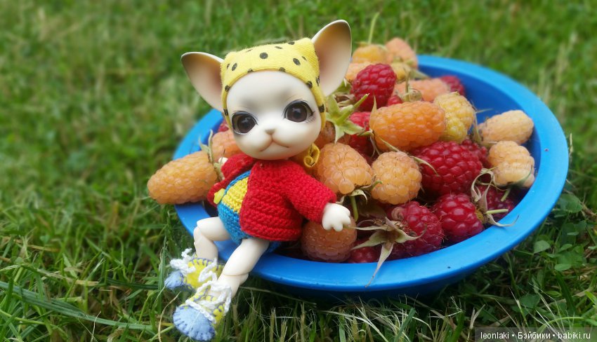 Вот оно какое наше лето — Куклы Ai Doll и Pangju (Панджу): Tiny BJD (БЖД)