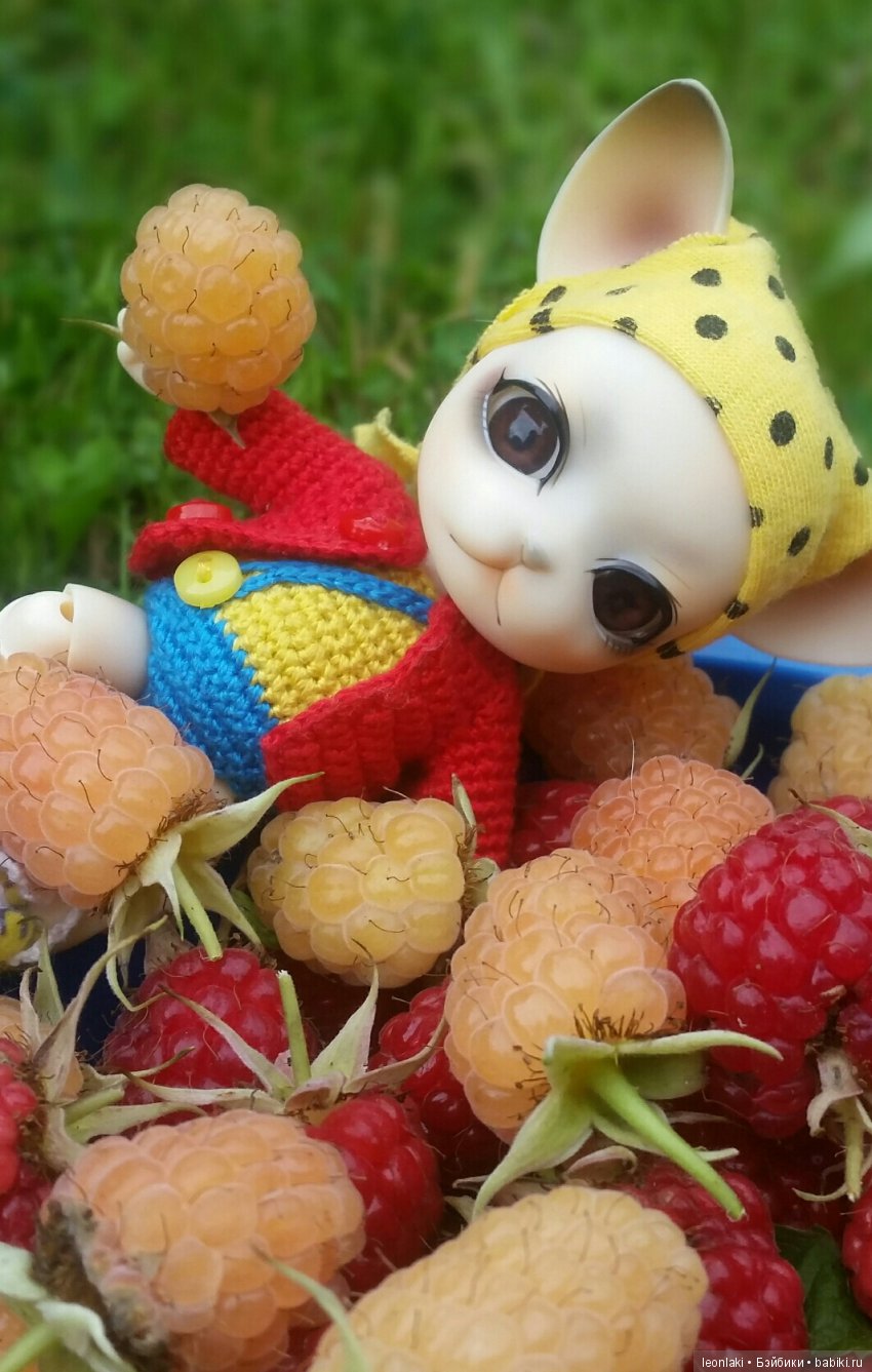 Вот оно какое наше лето — Куклы Ai Doll и Pangju (Панджу): Tiny BJD (БЖД)