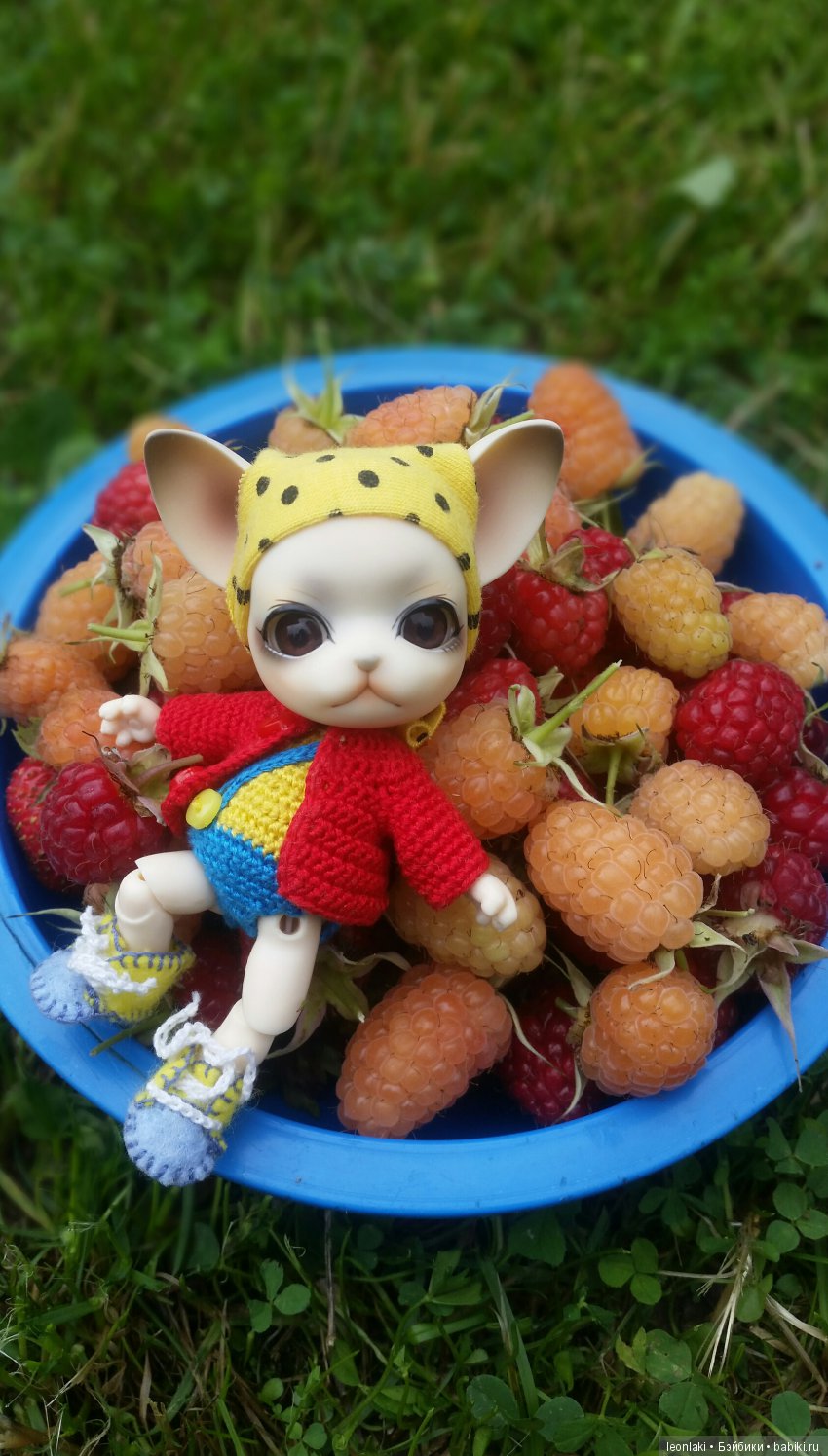 Вот оно какое наше лето — Куклы Ai Doll и Pangju (Панджу): Tiny BJD (БЖД)