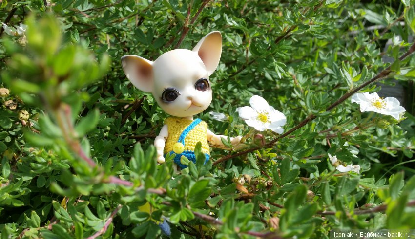 Вот оно какое наше лето — Куклы Ai Doll и Pangju (Панджу): Tiny BJD (БЖД)