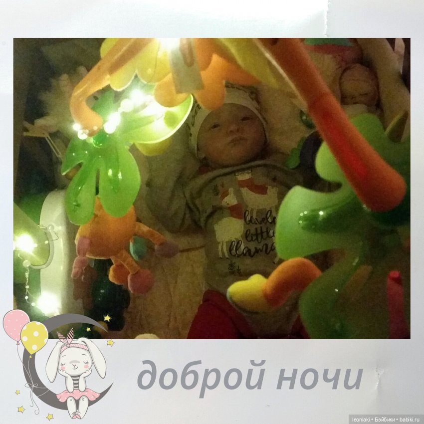 Reborn Will Natalie Scholl Reborn Will Natalie Scholl