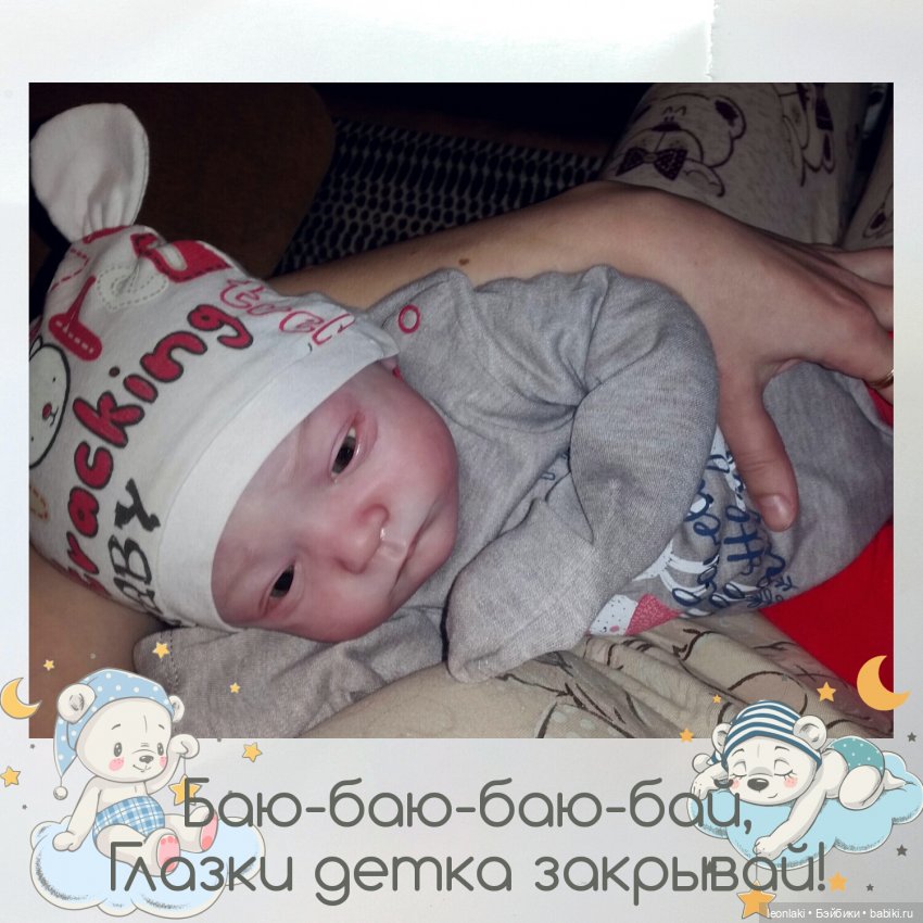 Reborn Will Natalie Scholl Reborn Will Natalie Scholl