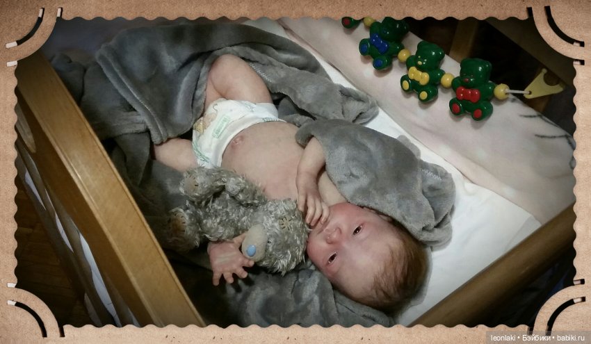 Reborn Will Natalie Scholl Reborn Will Natalie Scholl
