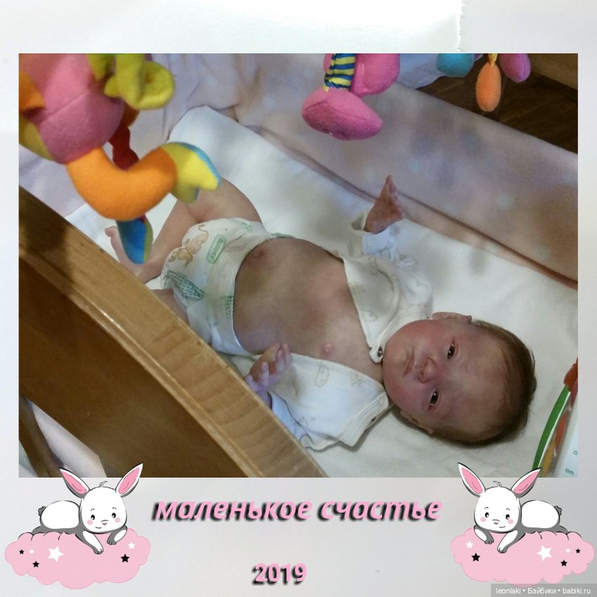 Reborn Will Natalie Scholl Reborn Will Natalie Scholl