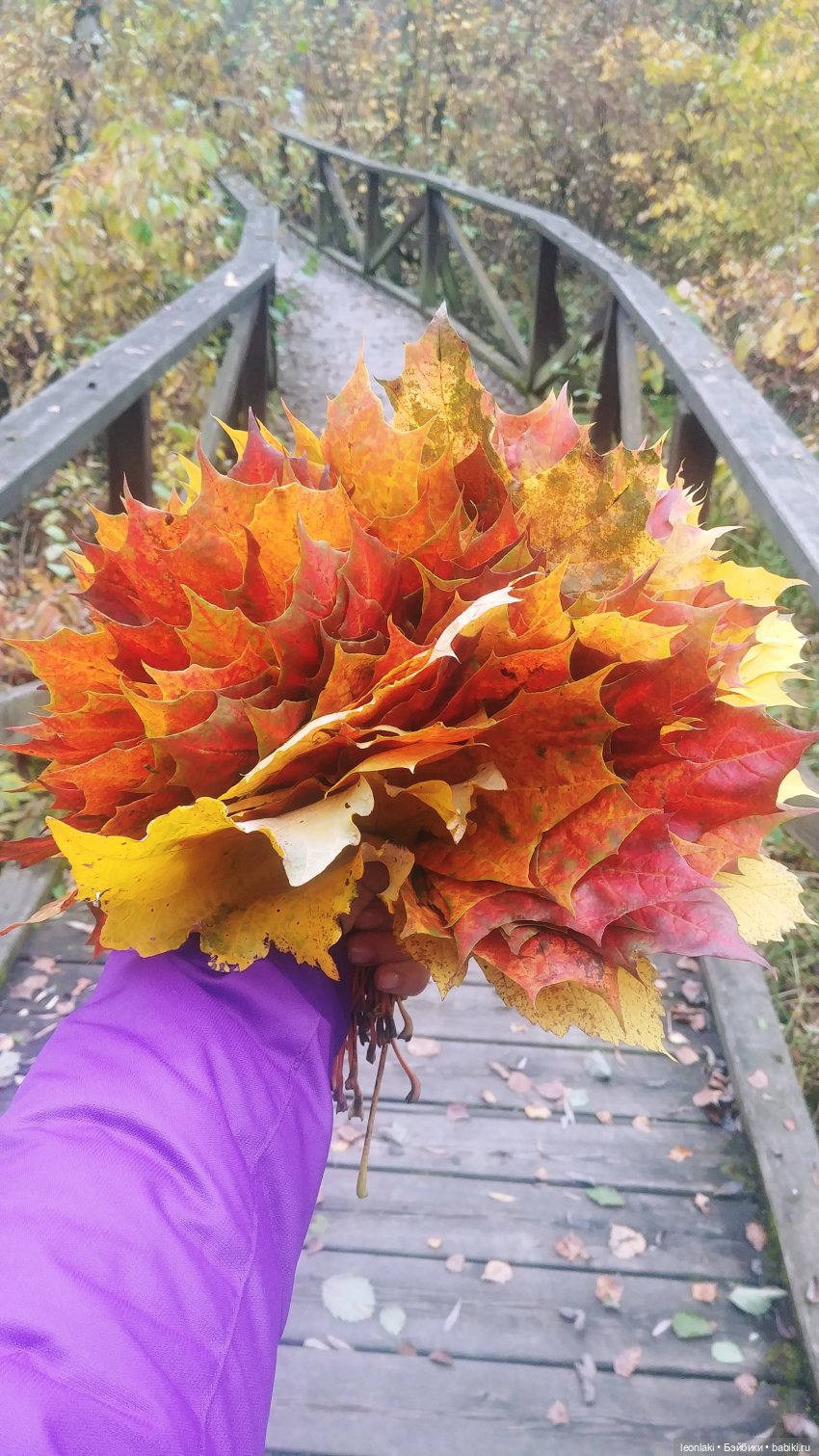 По следам осени — Куклы Kathe Kruse (Кате/Кэте Крузе): фото (фото 3)