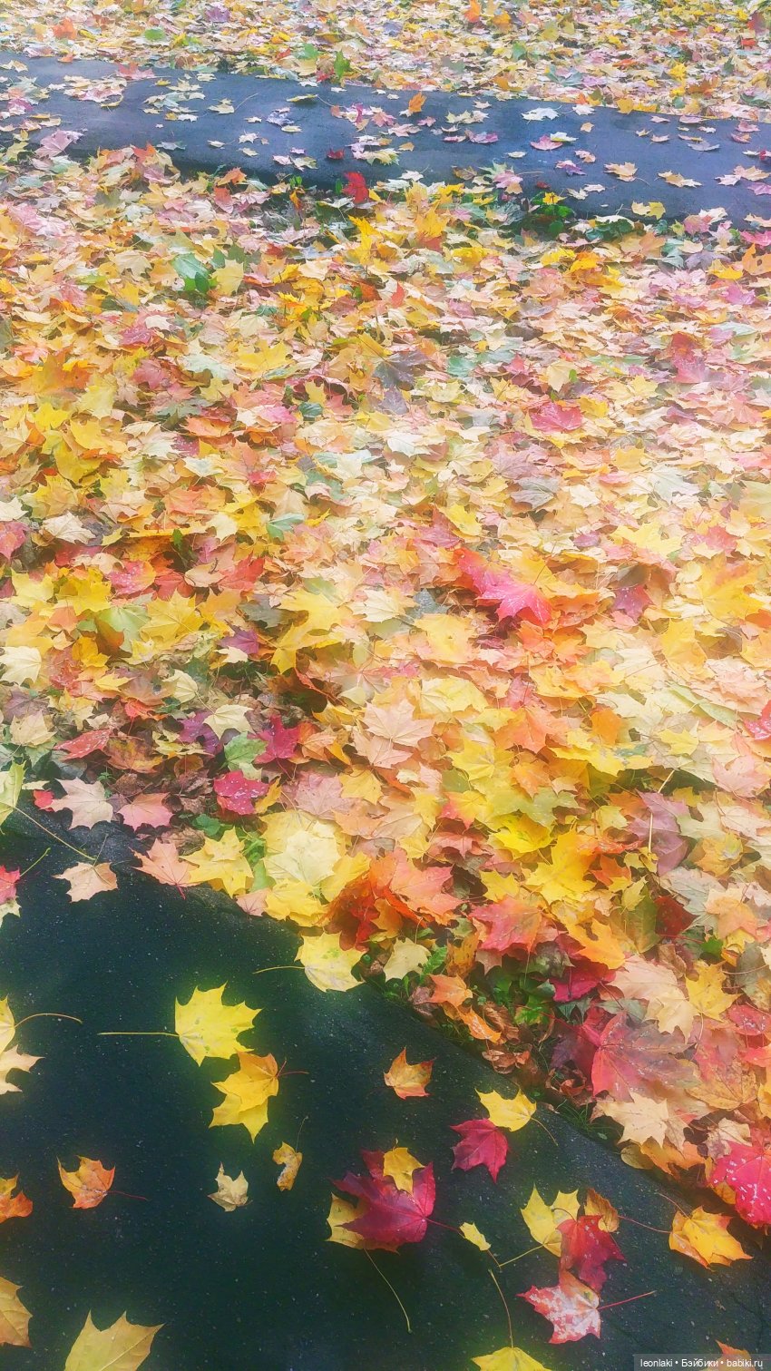 По следам осени — Куклы Kathe Kruse (Кате/Кэте Крузе): фото (фото 2)