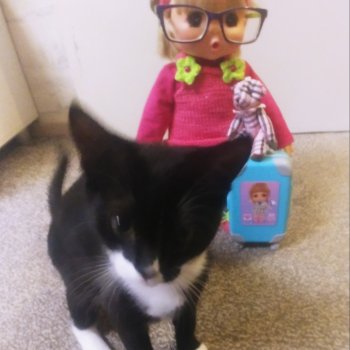 По домашнему