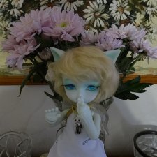 Небесная кошечка