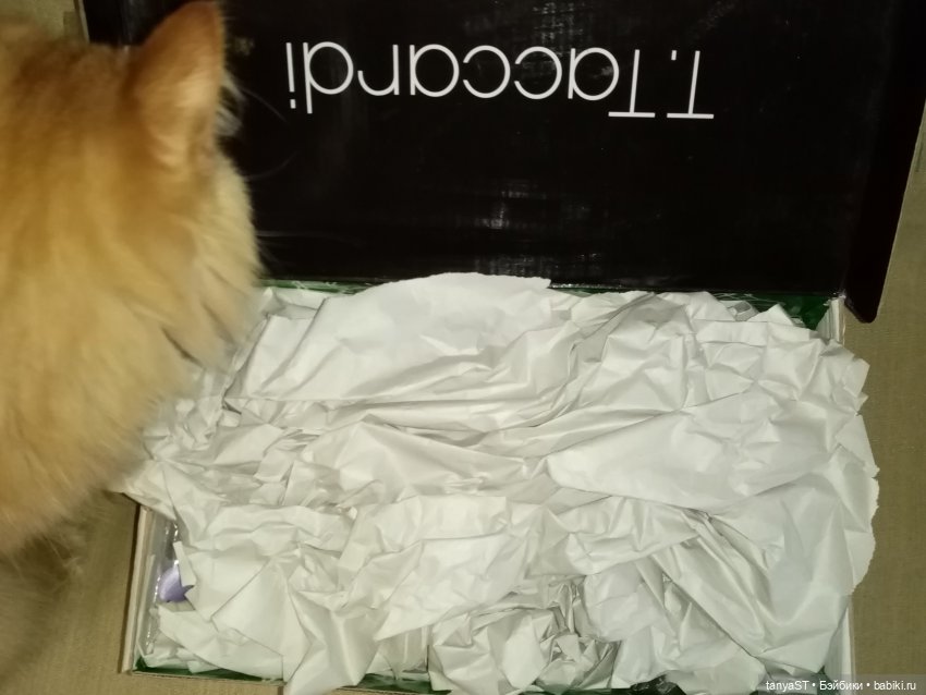 Коричка приехала — Куклы Kaye Wiggs (Кайе Виггс): авторские BJD (БЖД)