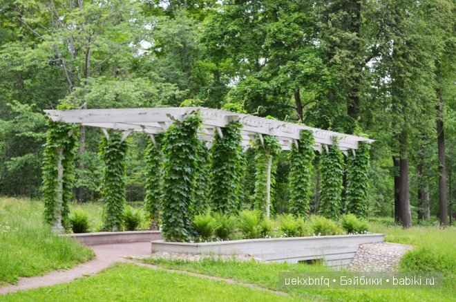 Прогулка по парку Александрия, Петергоф. Дженни от Heidi Plusczok