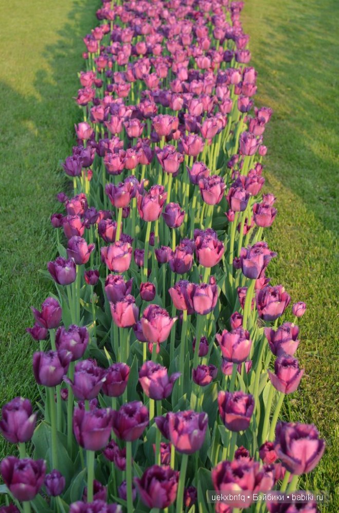 Мои куклы от Bruno Rossellini 1. Madeline | Бэйбики Мои куклы от Bruno Rossellini 1. Madeline (фото 2)