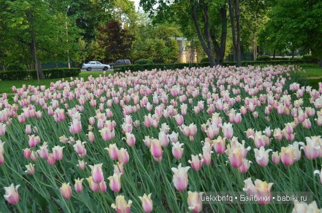 Мои куклы от Bruno Rossellini 1. Madeline | Бэйбики Мои куклы от Bruno Rossellini 1. Madeline