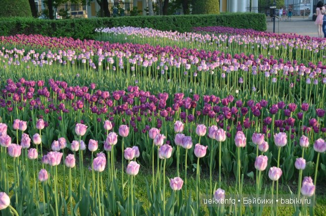 Мои куклы от Bruno Rossellini 1. Madeline | Бэйбики Мои куклы от Bruno Rossellini 1. Madeline