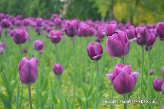 Мои куклы от Bruno Rossellini 1. Madeline | Бэйбики Мои куклы от Bruno Rossellini 1. Madeline
