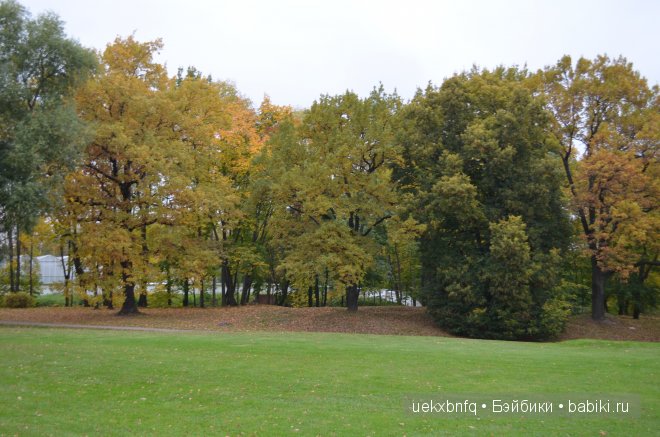 Мои куклы от Bruno Rossellini 5 Жозефина | Бэйбики Мои куклы от Bruno Rossellini 5 Жозефина