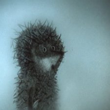 Вышел ежик из тумана