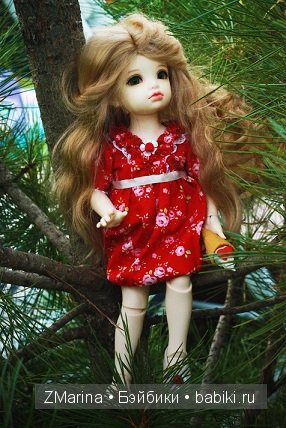 любимые девочки БЖД