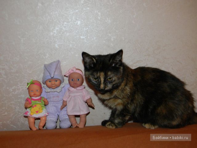 куклы куклы