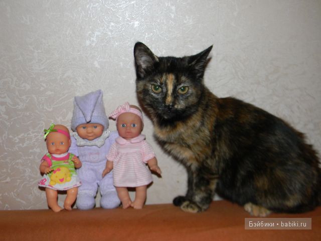 куклы куклы