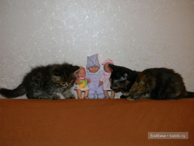 куклы куклы