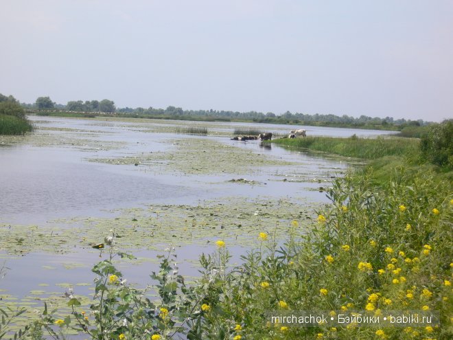 Красота... какая она — Болталка и разговоры обо всем: жизнь (фото 10)